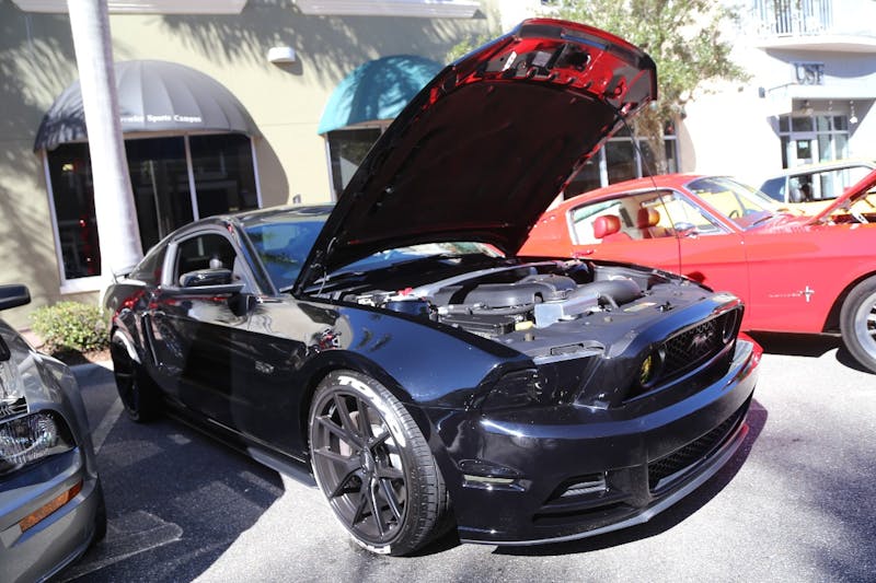 Ponies-Under-The-Palms-2016-430