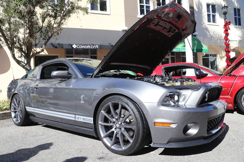 Ponies-Under-The-Palms-2016-441