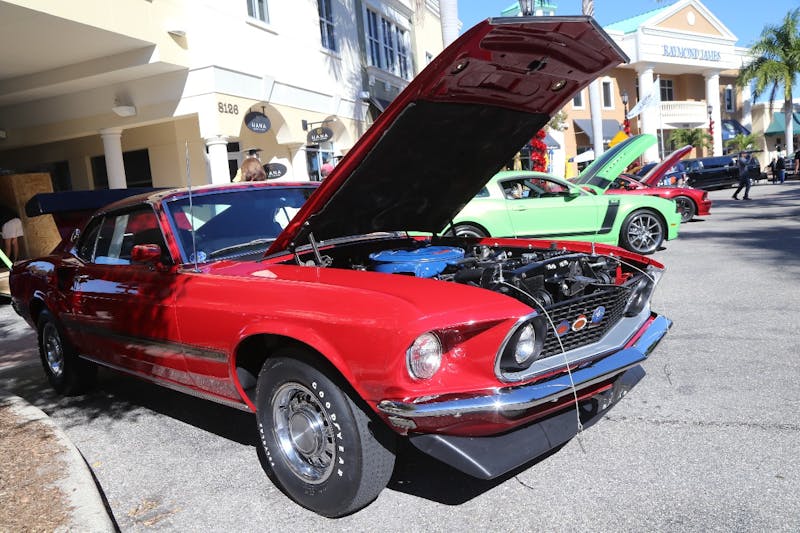 Ponies-Under-The-Palms-2016-468