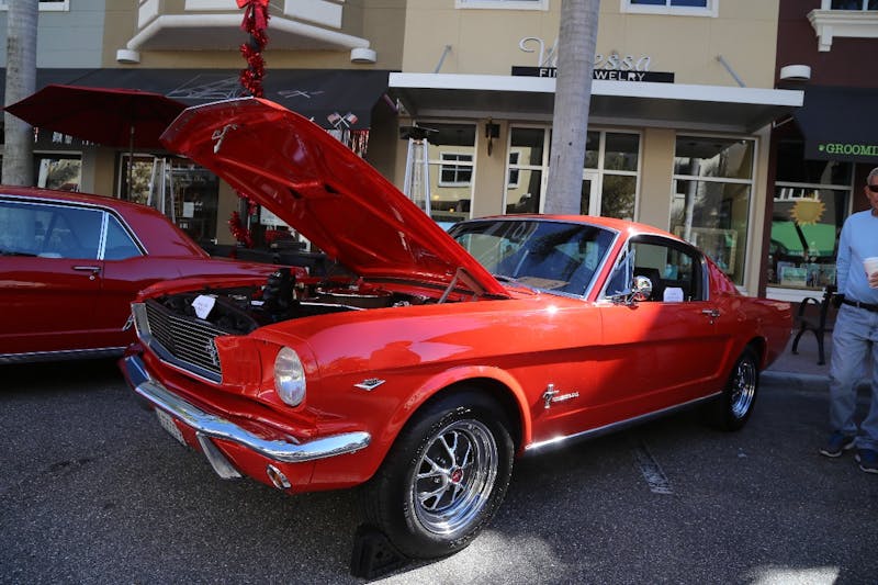 Ponies-Under-The-Palms-2016-472