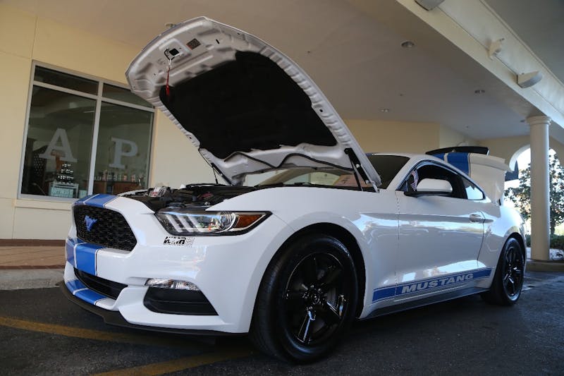 Ponies-Under-The-Palms-2016-495