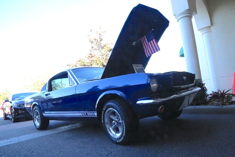 Ponies-Under-The-Palms-2016-505