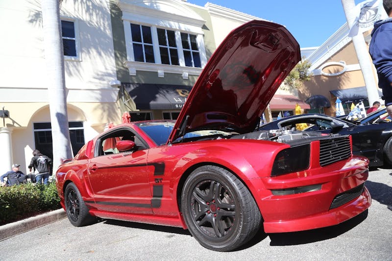 Ponies-Under-The-Palms-2016-516