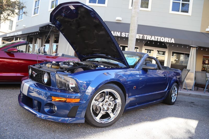 Ponies-Under-The-Palms-2016-522