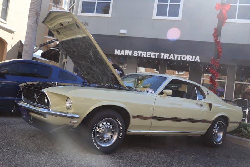 Ponies-Under-The-Palms-2016-531