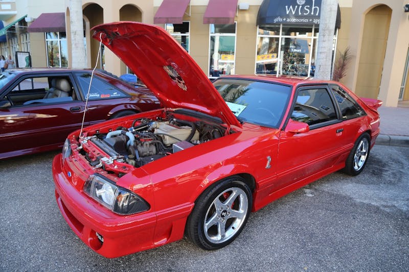 Ponies-Under-The-Palms-2016-556