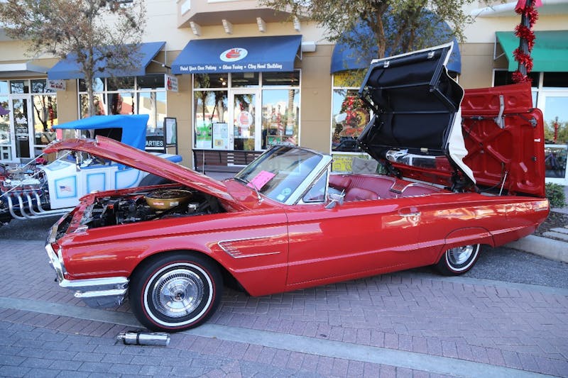 Ponies-Under-The-Palms-2016-579