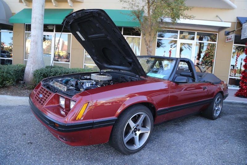 Ponies-Under-The-Palms-2016-601