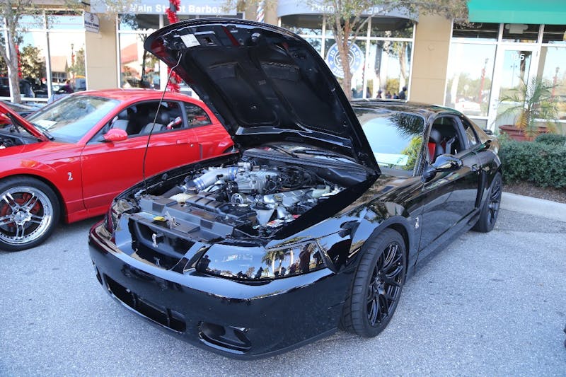 Ponies-Under-The-Palms-2016-608