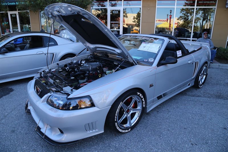 Ponies-Under-The-Palms-2016-629