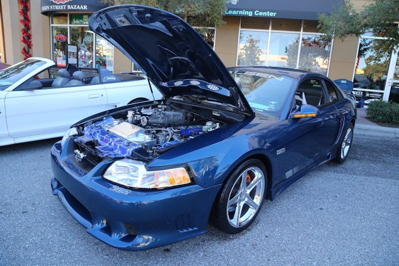 Ponies-Under-The-Palms-2016-640