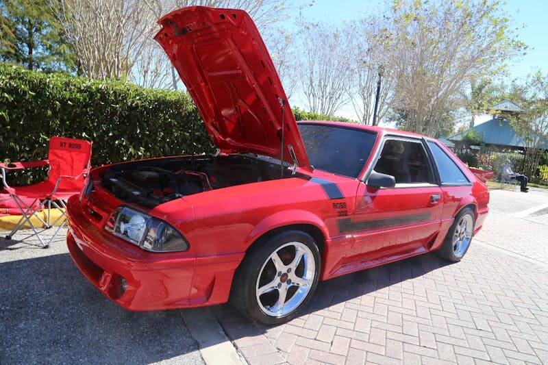 Ponies-Under-The-Palms-2016-650