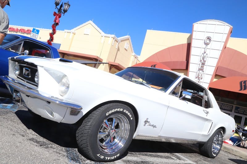 Ponies-Under-The-Palms-2016-672