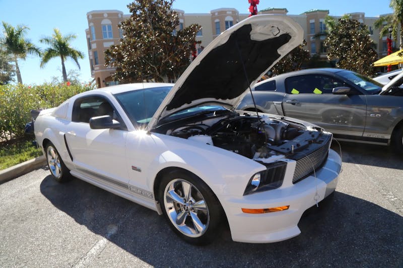 Ponies-Under-The-Palms-2016-676