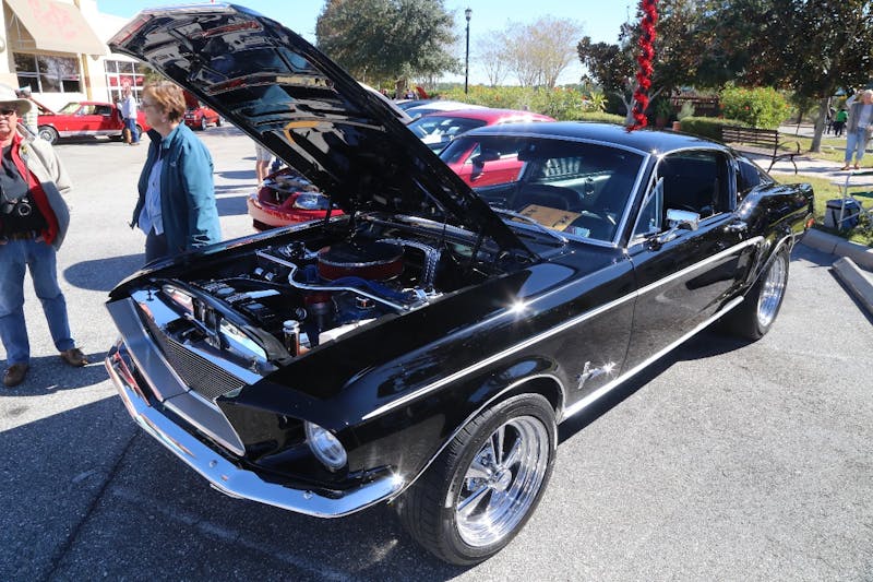 Ponies-Under-The-Palms-2016-686