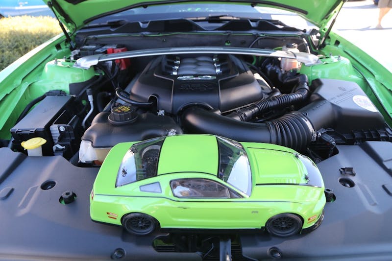 Ponies-Under-The-Palms-2016-706