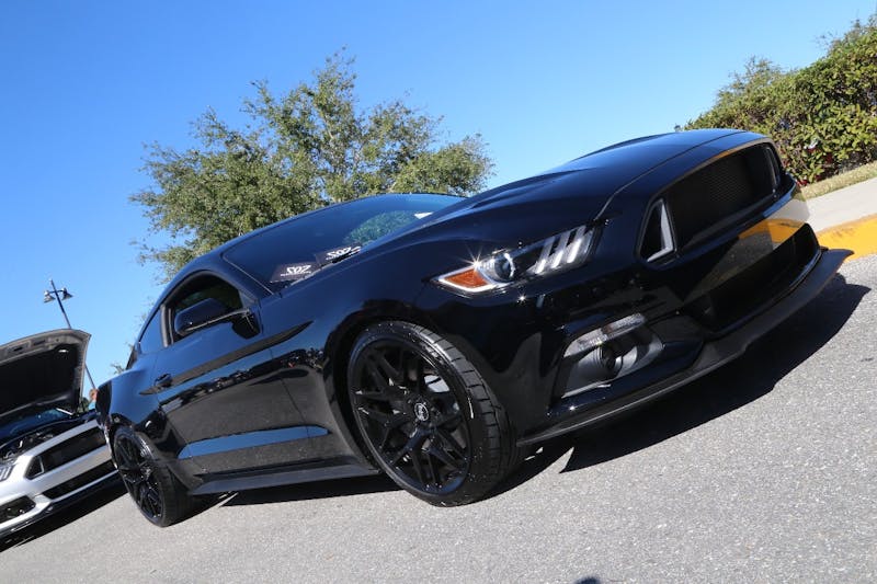 Ponies-Under-The-Palms-2016-754