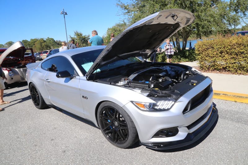 Ponies-Under-The-Palms-2016-758