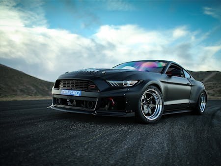 MG6_9555 2 MG6_9555 2