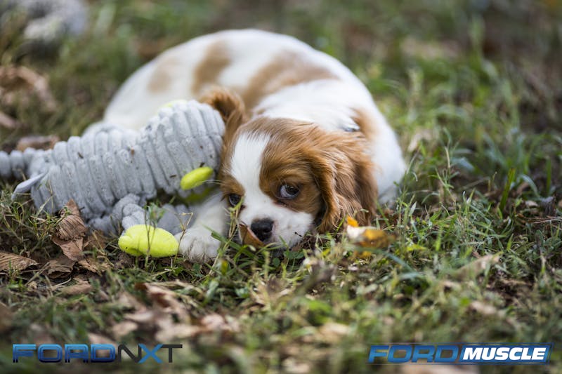 battle-of-the-heavyweights-2017-nmra-world-finals-0017