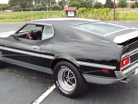 Speed-Family-Mustangs-184 Speed-Family-Mustangs-184