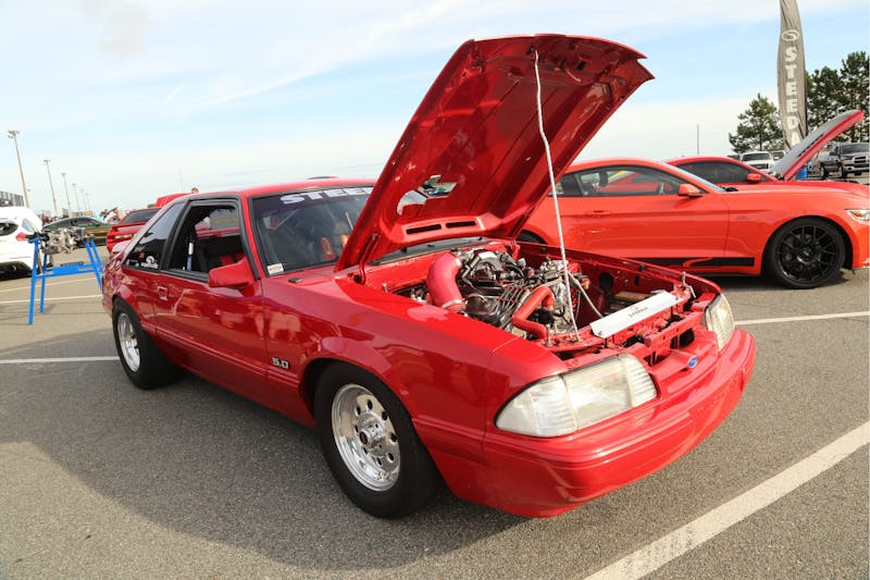 mustangs-run-wild-at-steedas-2017-pony-wars-0003