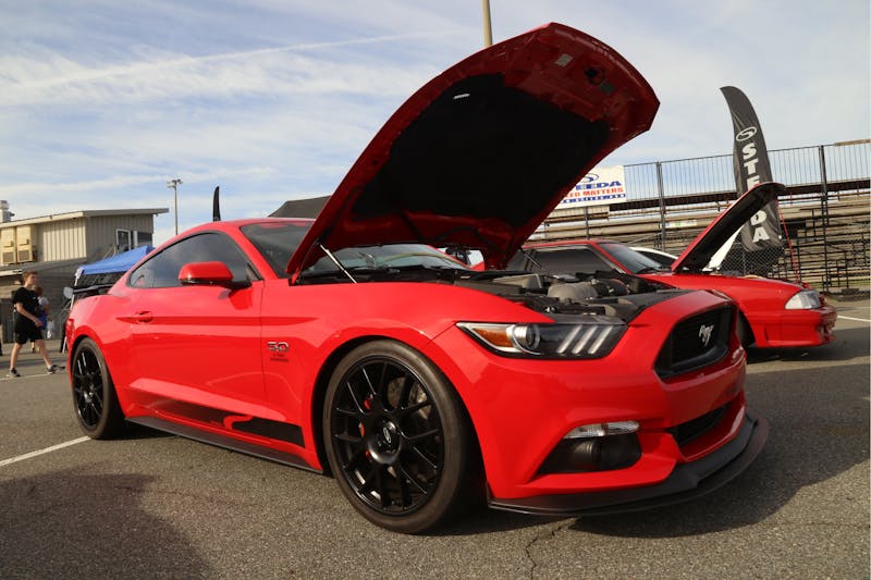 mustangs-run-wild-at-steedas-2017-pony-wars-0008