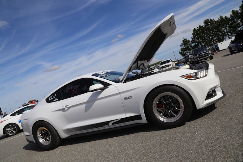 mustangs-run-wild-at-steedas-2017-pony-wars-0042