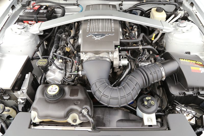 Steeda-Stampede-2017-4071