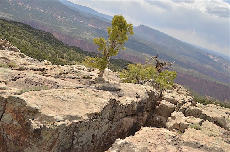 Yokohama-Geolandar-MT-G003-052