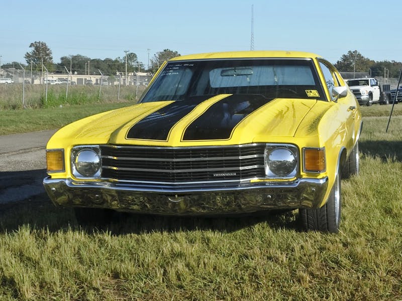 Zephyrhills Events DSC_0843