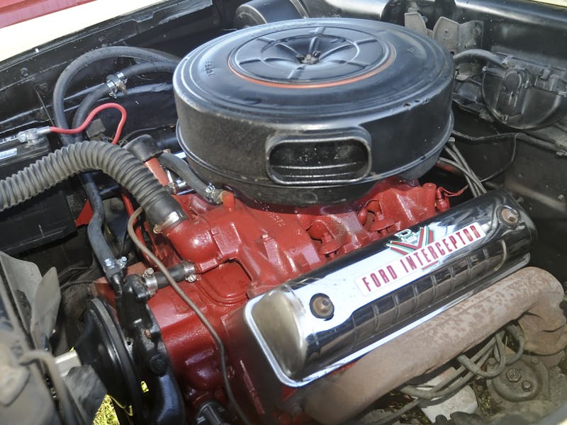 Zephyrhills Events DSC_0866